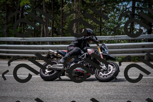 202508031139-DSC_3430_c2