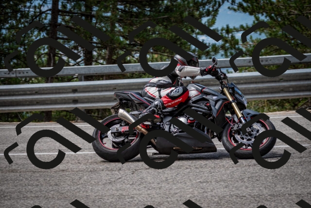 202508031139-DSC_3432_c2