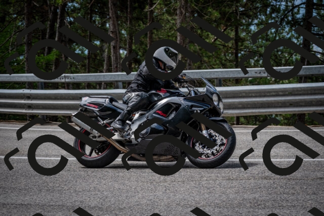 202508031140-DSC_3439_c2