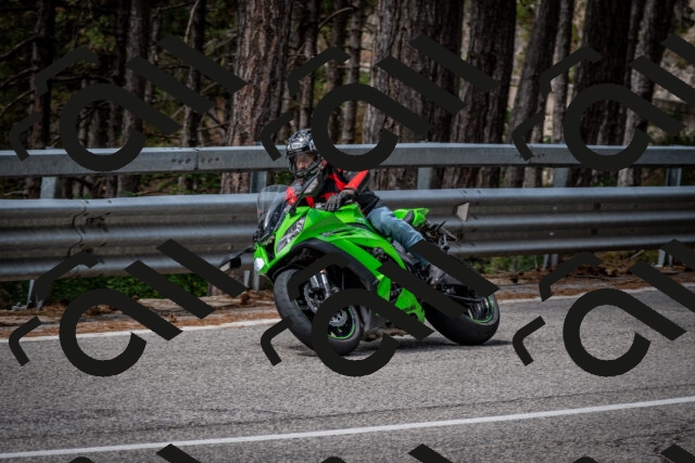 202508031141-DSC_3442_c2