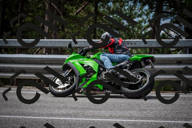 202508031141-DSC_3444_c2