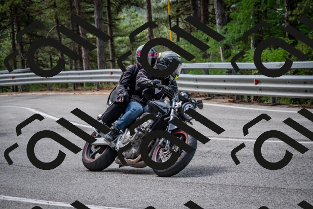 202508031142-DSC_3445-2_c2