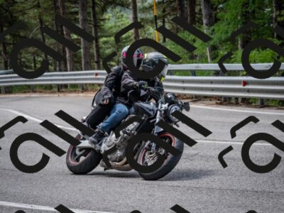 202508031142-DSC_3445-2_c2