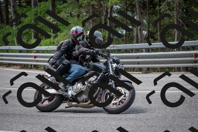 202508031142-DSC_3446_c2