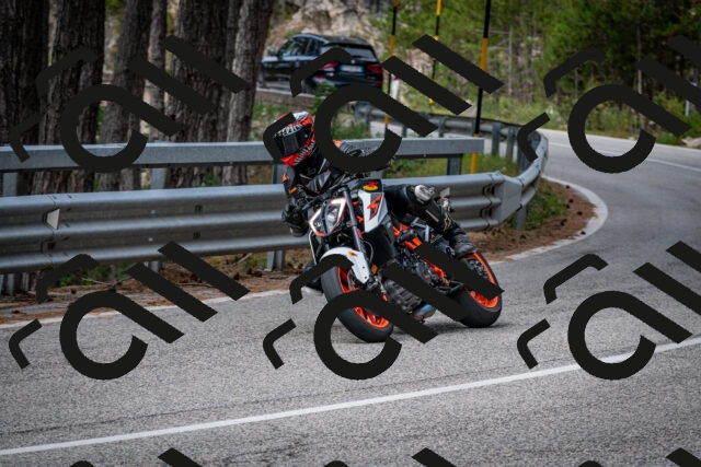 202508031144-DSC_3453_c2