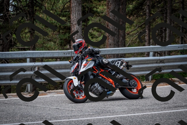 202508031144-DSC_3454_c2