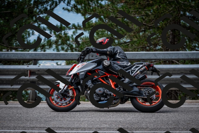 202508031144-DSC_3455_c2