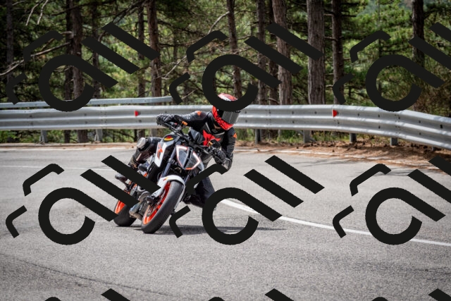 202508031145-DSC_3459_c2