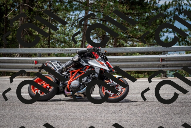 202508031145-DSC_3460_c2