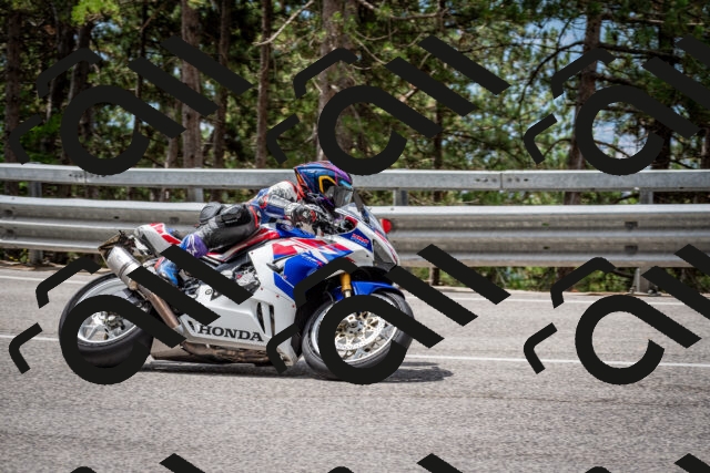 202508031147-DSC_3465_c2