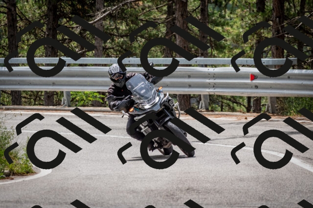 202508031147-DSC_3466-2_c2