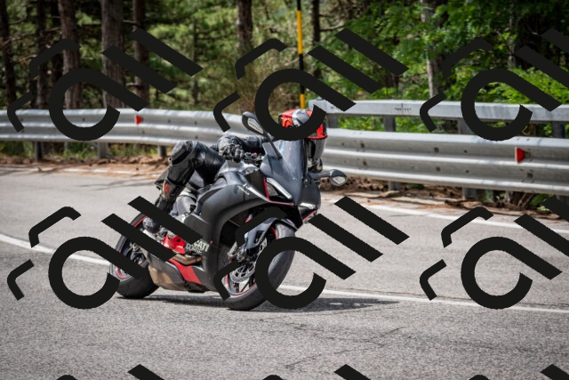 202508031147-DSC_3468_c2