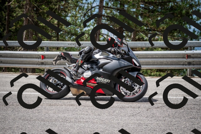 202508031147-DSC_3469_c2