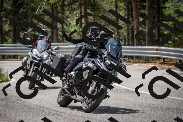 202508031149-DSC_3473_c2