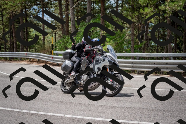 202508031149-DSC_3475-2_c2