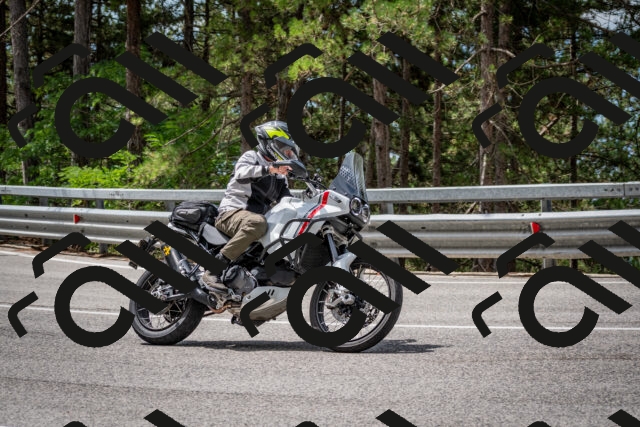 202508031149-DSC_3477_c2