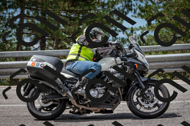 202508031149-DSC_3479-2_c2