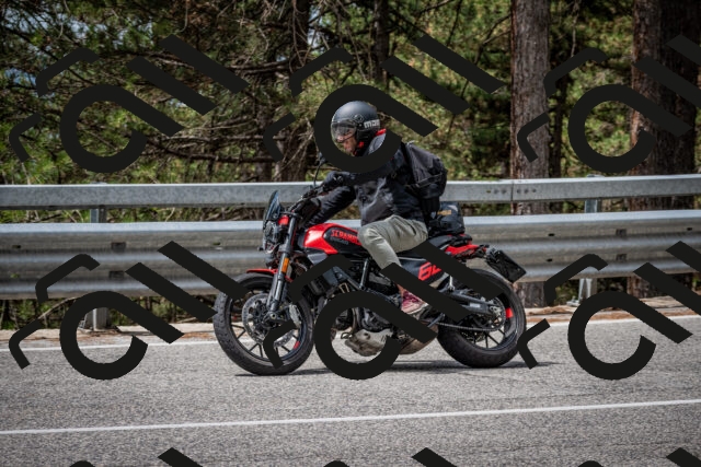 202508031150-DSC_3483_c2