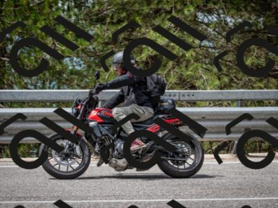 202508031150-DSC_3484_c2