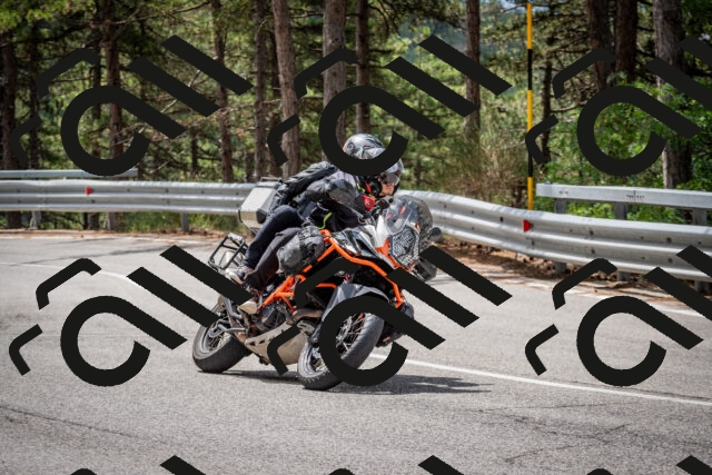 202508031150-DSC_3485_c2