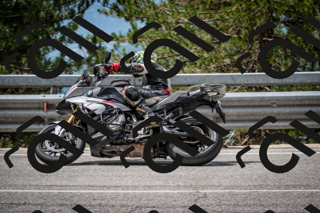 202508031151-DSC_3488_c2