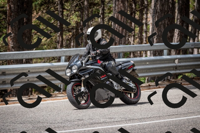 202508031151-DSC_3490_c2