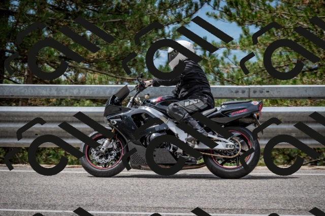 202508031151-DSC_3492_c2