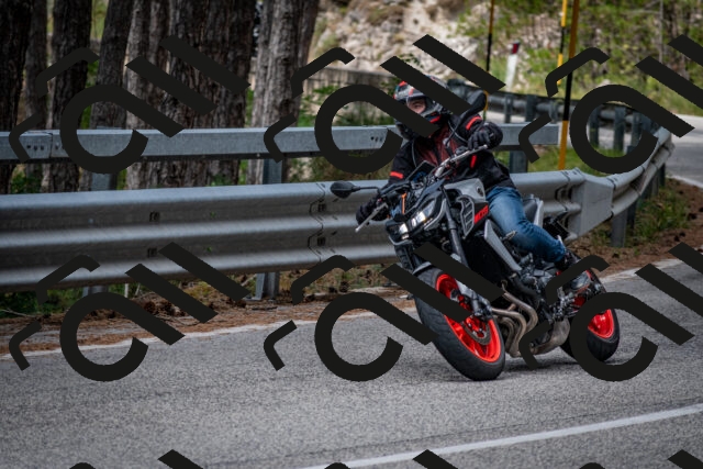 202508031152-DSC_3496_c2