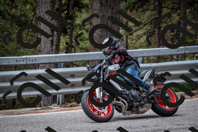 202508031152-DSC_3497_c2