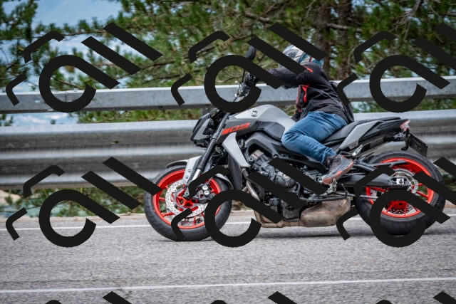 202508031152-DSC_3498_c2