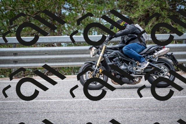 202508031152-DSC_3500_c2