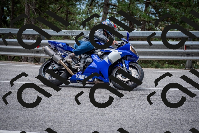 202508031153-DSC_3503-2_c2