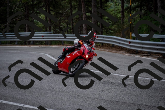 202508031153-DSC_3507_c2