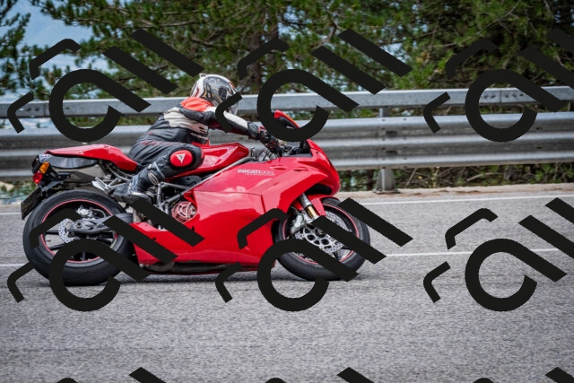 202508031153-DSC_3508_c2