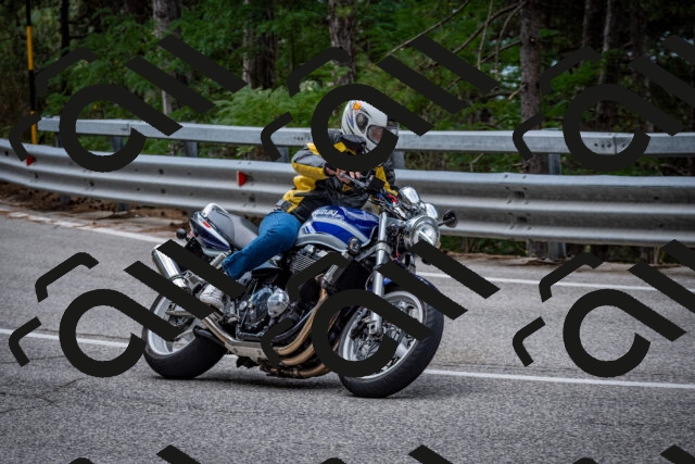 202508031153-DSC_3510_c2