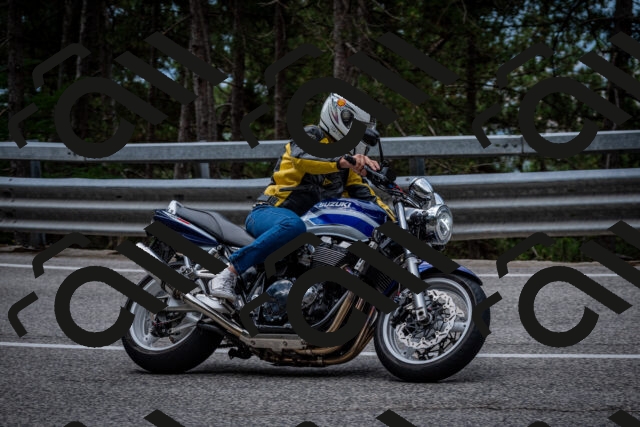 202508031153-DSC_3511_c2