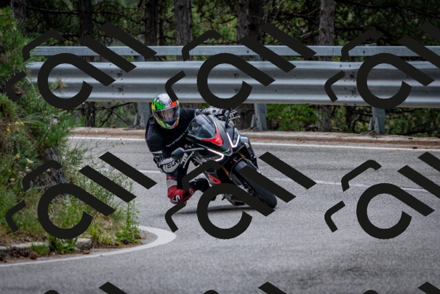 202508031154-DSC_3513_c2