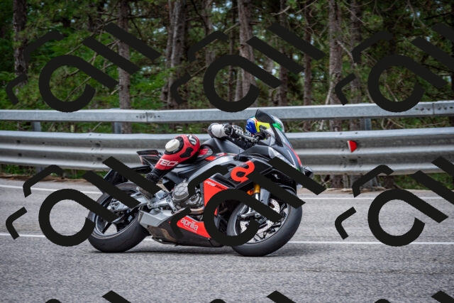 202508031154-DSC_3514-2_c2