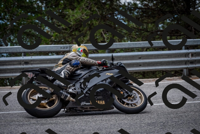 202508031154-DSC_3516_c2