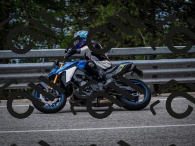 202508031155-DSC_3518-2_c2