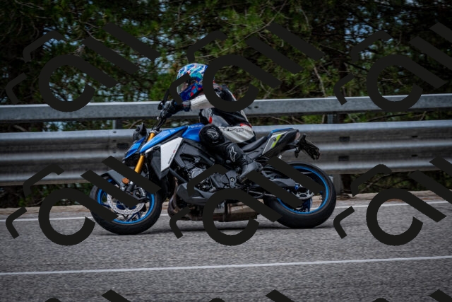 202508031155-DSC_3518-2_c2