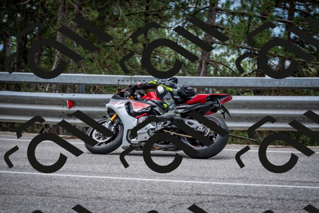 202508031155-DSC_3523_c2