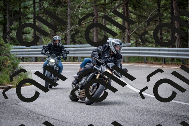 202508031155-DSC_3524_c2