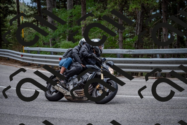 202508031155-DSC_3525_c2