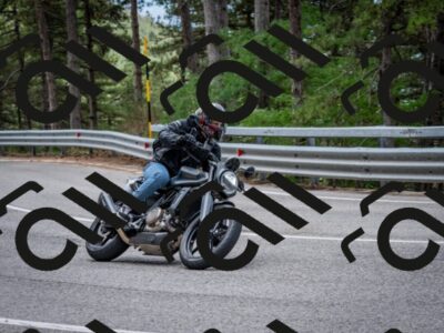 202508031155-DSC_3526_c2