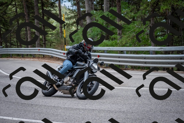 202508031155-DSC_3526_c2