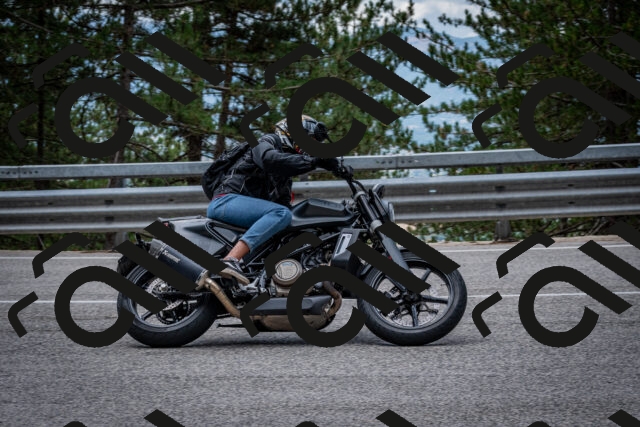 202508031155-DSC_3527_c2