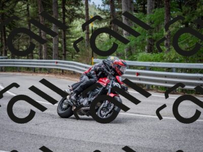 202508031155-DSC_3528_c2