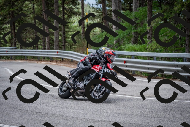 202508031155-DSC_3528_c2