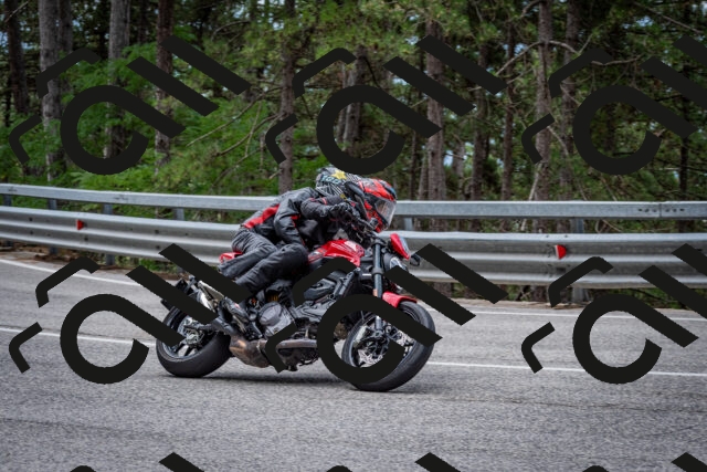 202508031155-DSC_3529-2_c2